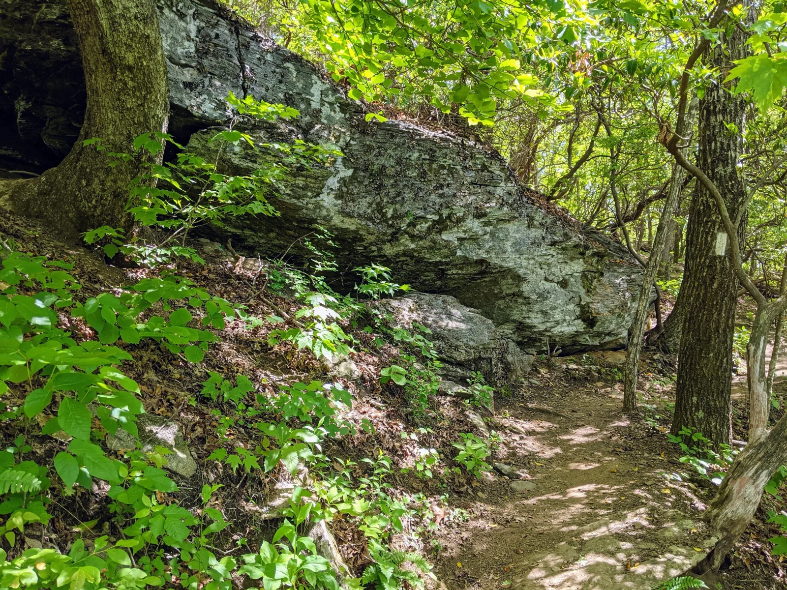 Good Trails Don't Happen by Accident. Neither Do Good Products.